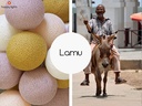 Lamu - LED