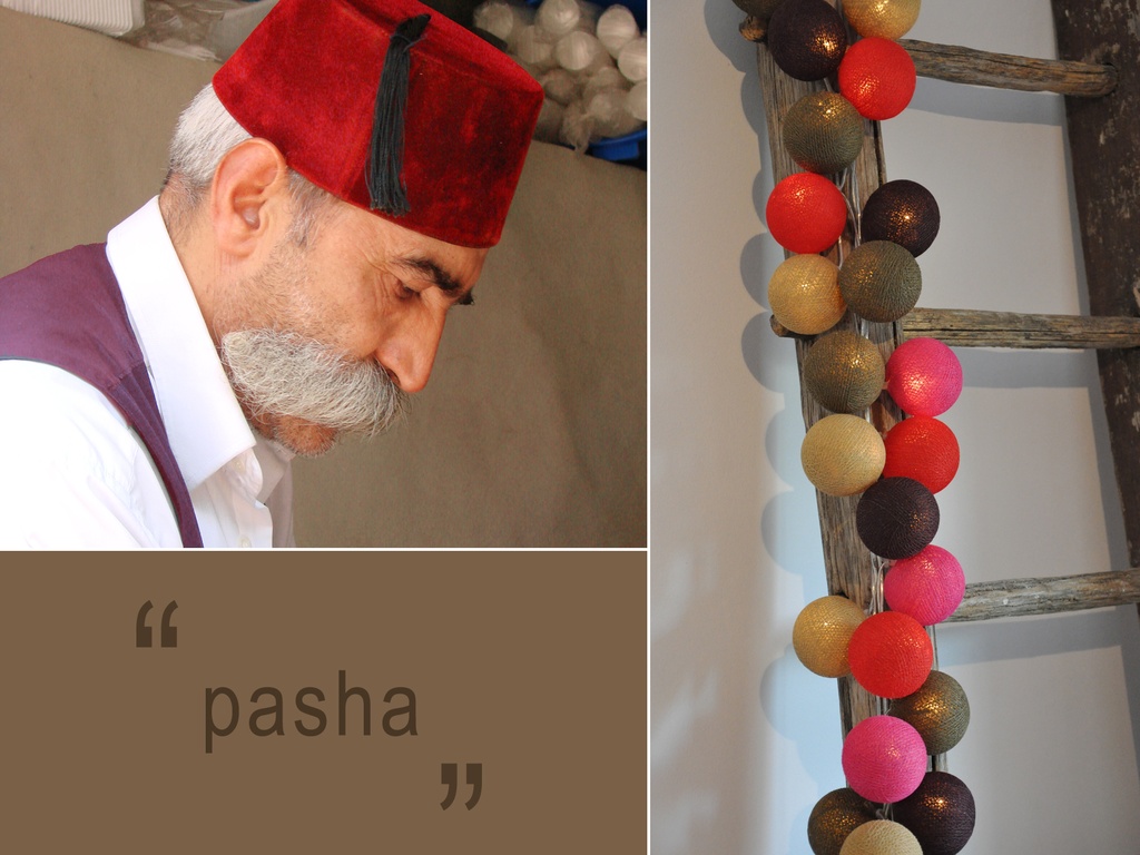 Pasha - LED