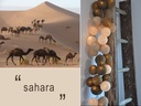 Sahara - LED