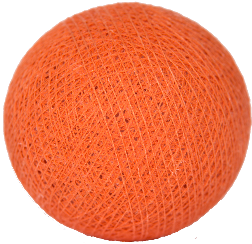 Coral nr56