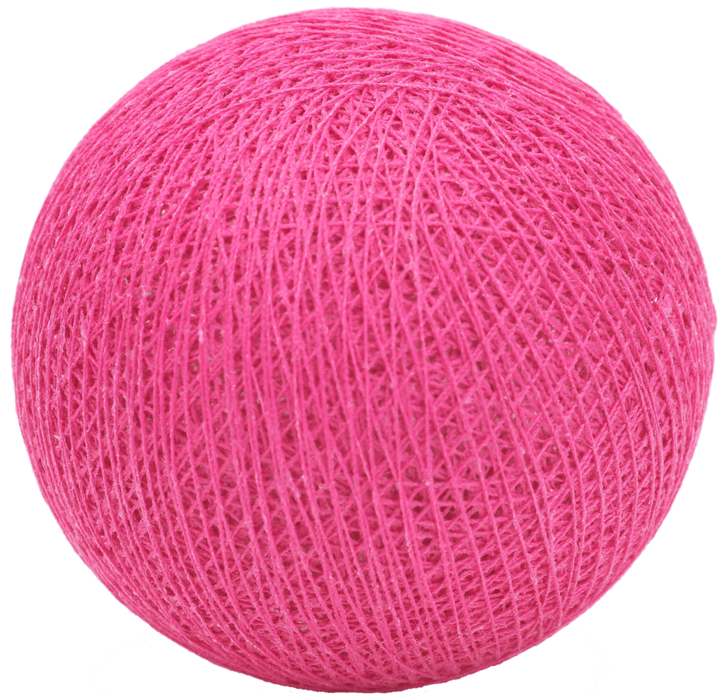Fuchsia nr34