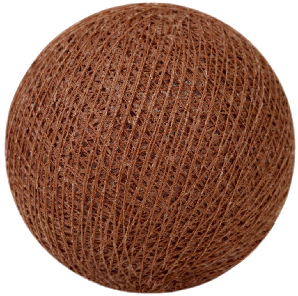 Hazelnut nr41