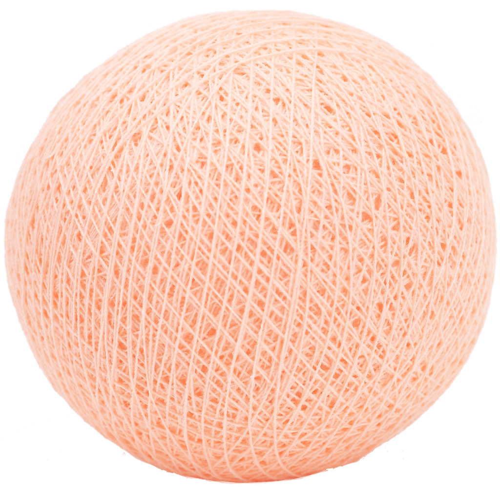 Salmon nr28