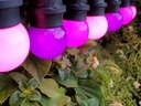 Outdoor light string - Purplepassion