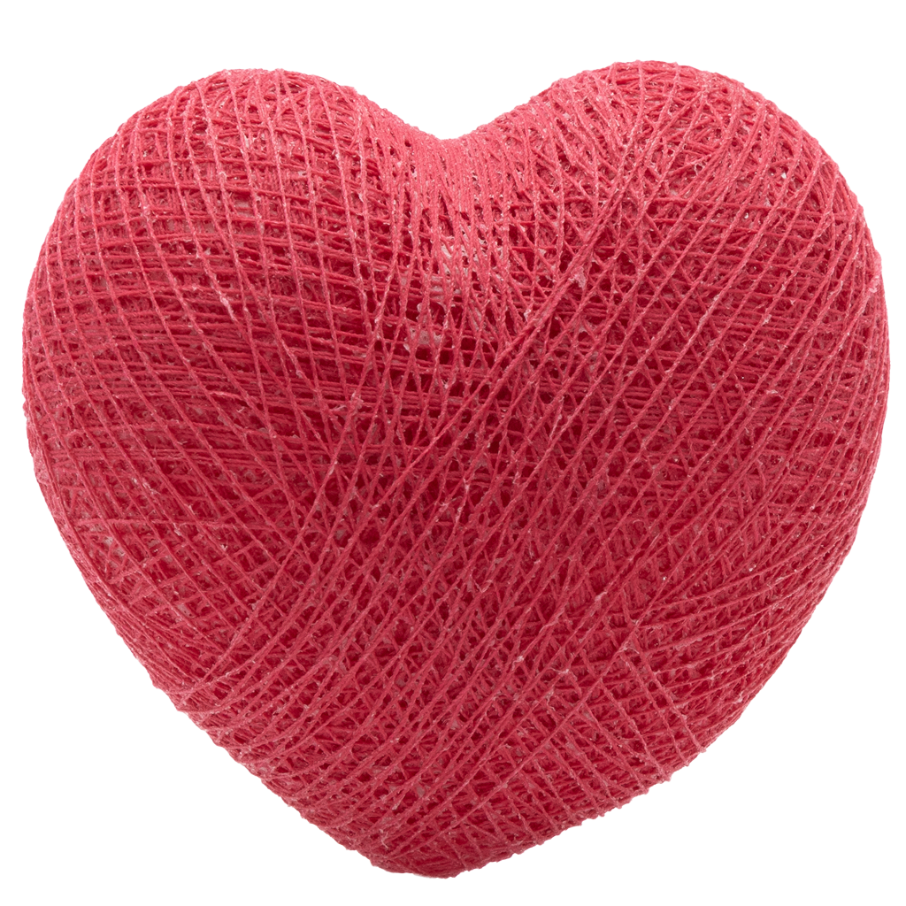 HEART Raspberry nr31