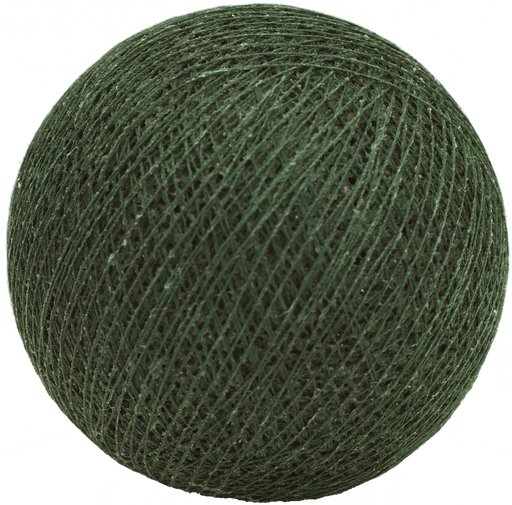 ['0019]  Dennegroen nr19