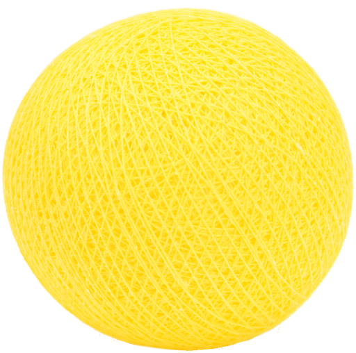 ['0025] Lemon / Citroen / Citron nr25