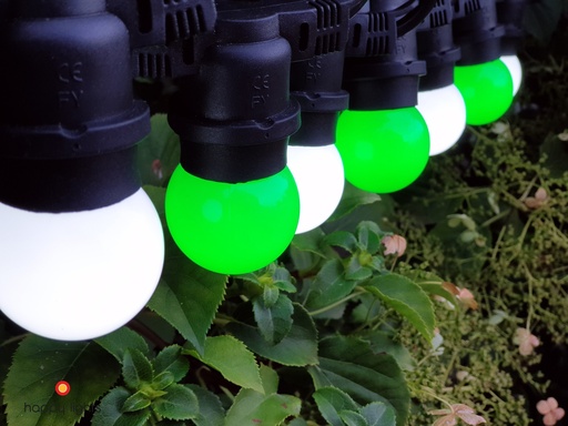 Outdoor light string - Luckyleaf