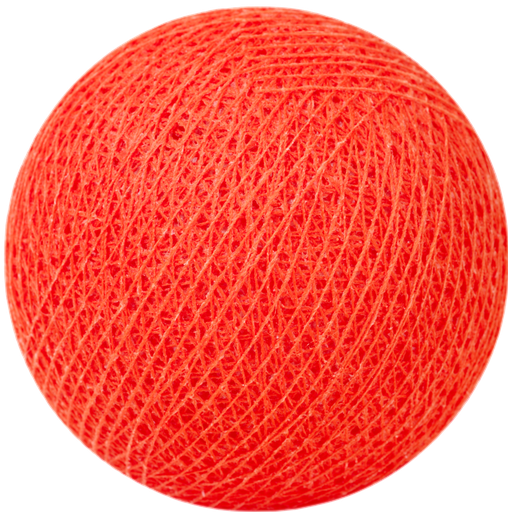 ['0047] Pumpkin nr47