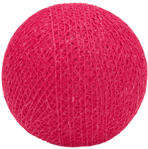 ['0031]  Framboos nr31