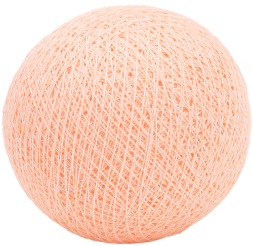 ['0028] Salmon nr28