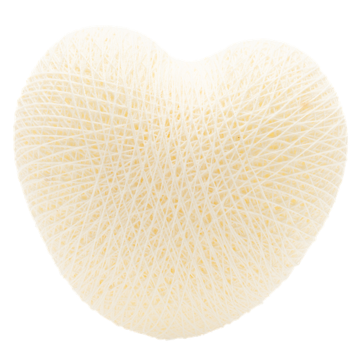 [H2] HEART Ivory nr2