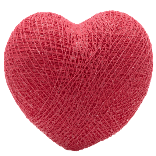[H31] HEART Raspberry nr31
